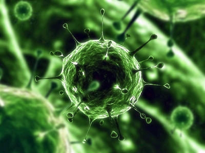 Virus A (H1N1) volta ainda mais violento