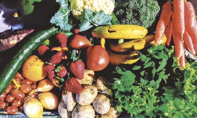 Procura por alimentos orgânicos aumenta  durante a pandemia e beneficia produtores