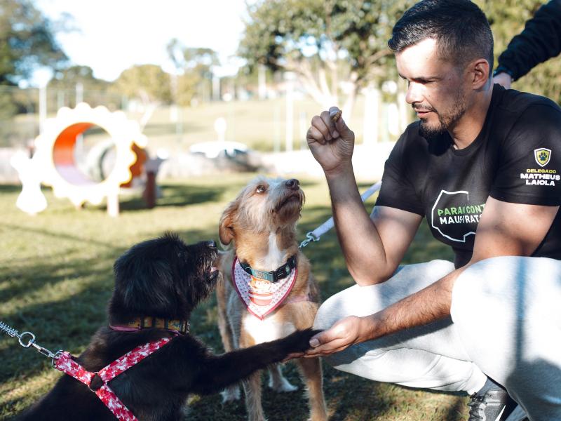 Corrida Animal movimentará Campo Largo em setembro e transformará esporte em solidariedade aos animais