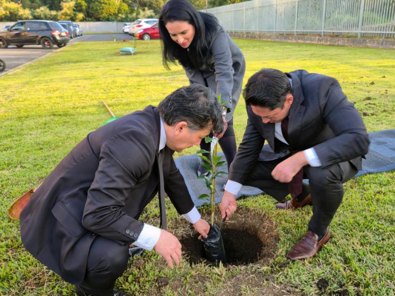 TJPR inaugura pomar no Fórum de Campo Largo 