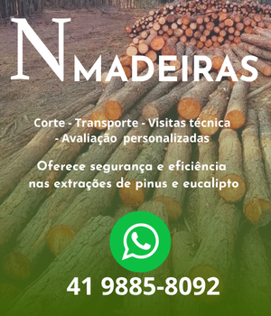 N Madeiras busca por áreas com plantação de pinus e eucalipto para compra e extração