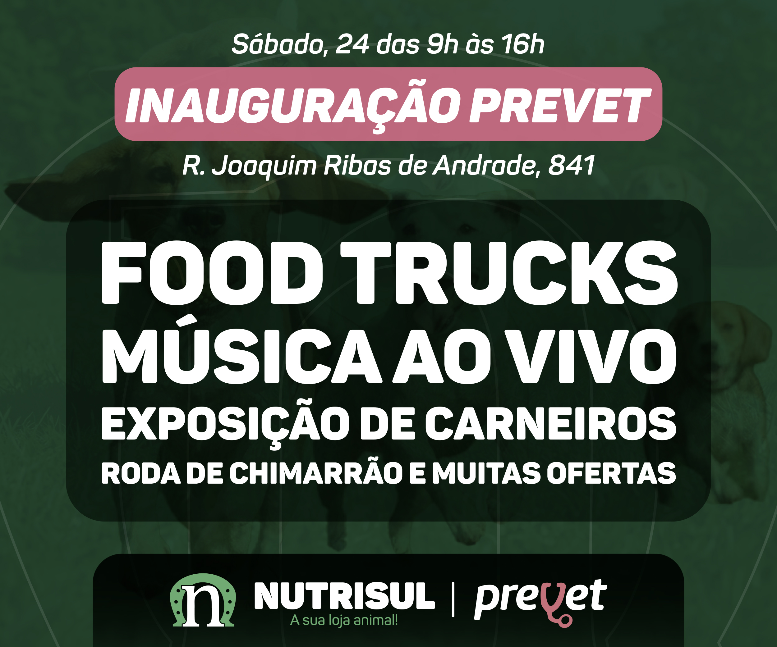 Nutrissul