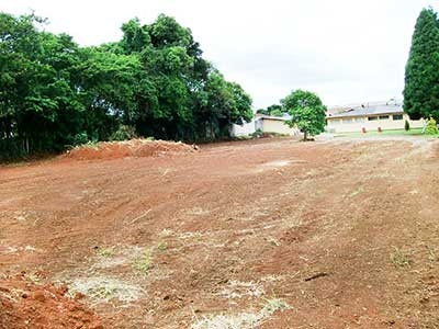 Falando de Revitalização