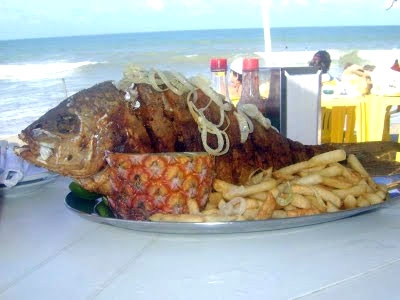 Alimentação de Férias na Praia