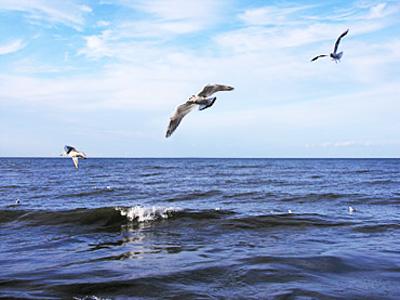 Sustentabilidade Marinha
