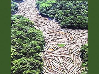 Amazônia 