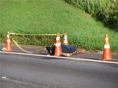 Atropelado na BR-277