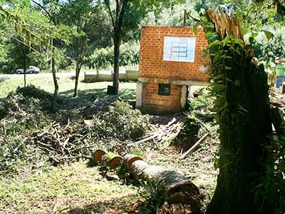 Casa é parcialmente destruída por árvores 