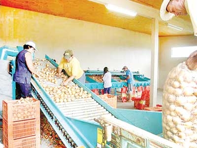 Vereador ajuda na instalação de  máquina 