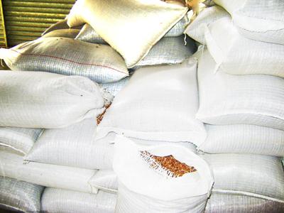 Campo Largo reforça Merenda Escolar