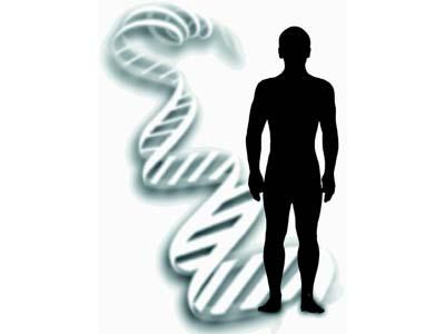 Cientistas mapeiam proteínas no corpo 
