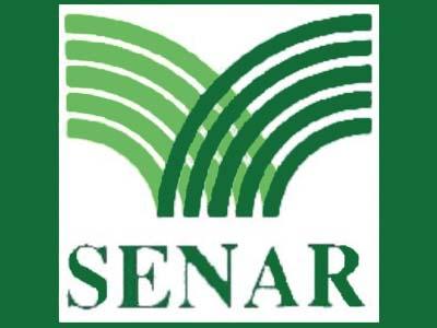 Senar