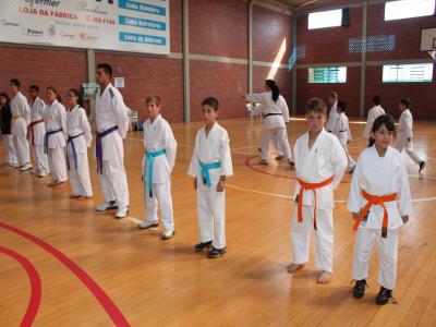 Torneio de Karatê