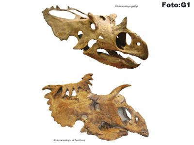 Dinossauros