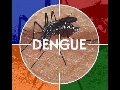 Dengue