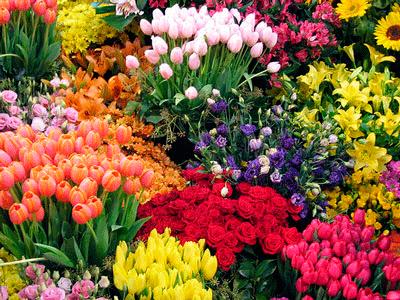 Cidades conhecidas como Cidade das Flores
