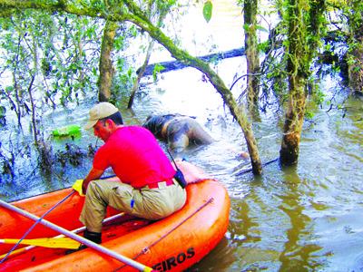 Corpo encontrado no Rio Iguaçu