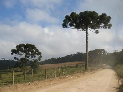 Caminhada