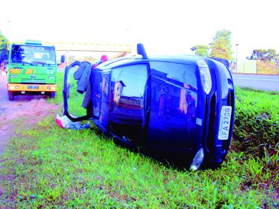 Cachorro invade pista e provoca acidente 