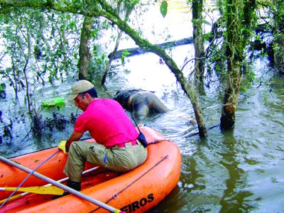 Corpo encontrado no Rio Iguaçu é sepultado