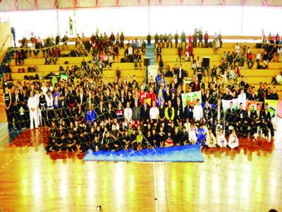 Artes Marciais