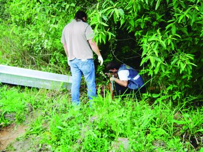 Degolado em matagal as margens da PR 423