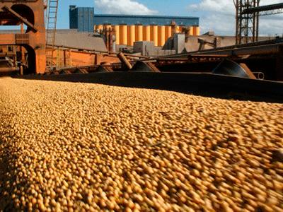 Produção de grãos