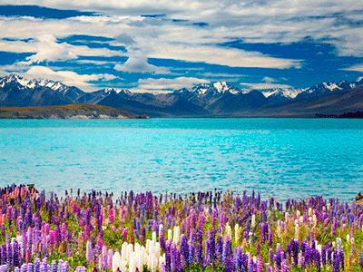 Saiba os principais cuidados antes de viajar