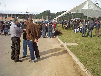 Greve 