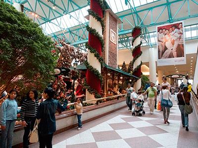 Nem a árvore escapa