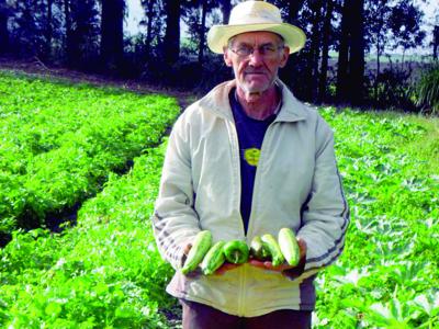 Alimentação Escolar