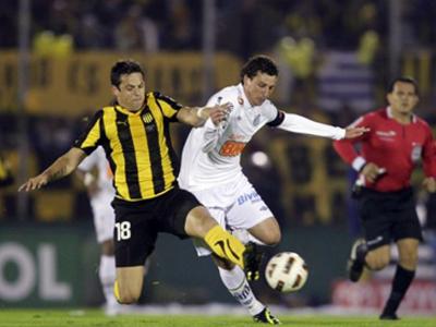 Esportes