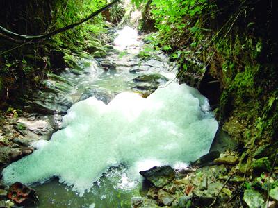 Nascente contaminada no Bom Jesus