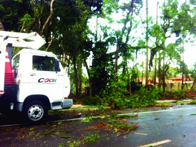 Tempestade causa estragos em Campo Largo