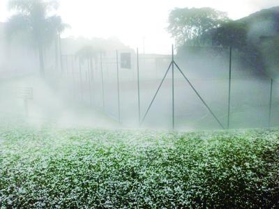 Chuva de granizo