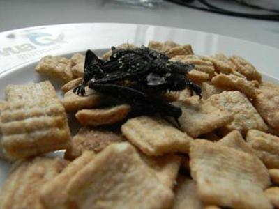Alemanha