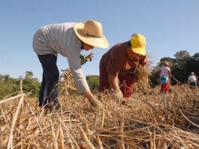 Agricultura