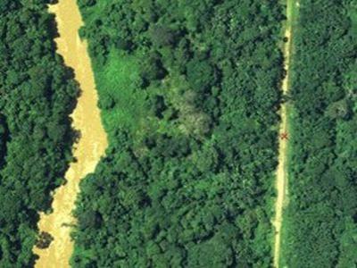 Amazônia