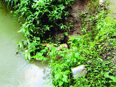 Mulher encontrada morta no Rio Verde