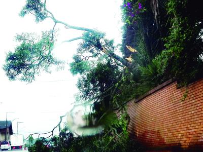 Tempestade causam estragos em Campo Largo