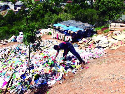 Lixo reciclável é dinheiro