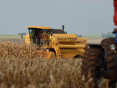 Agricultura