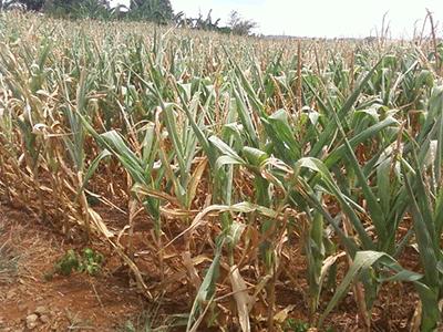 Situação de emergência