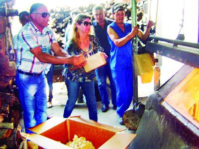 Polícia incinera cerca de 100 quilos de Maconha