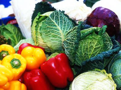 Alimentação