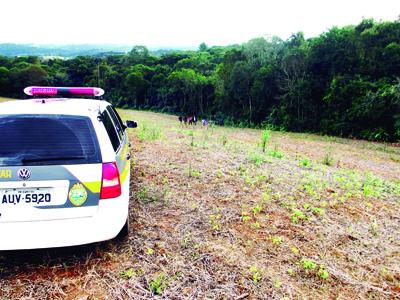 Ossada humana encontrada em matagal