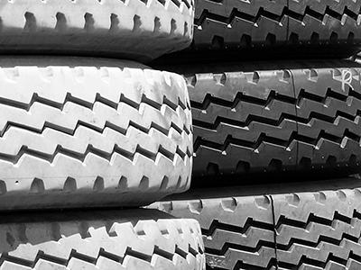 Consciência ambiental