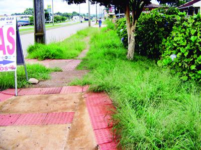 Situação de abandono nas ruas do Ouro Verde e Jardim Busmayer