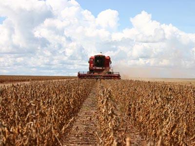 Agricultura