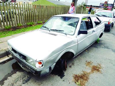 Gol é encontrado depenado no Cercadinho